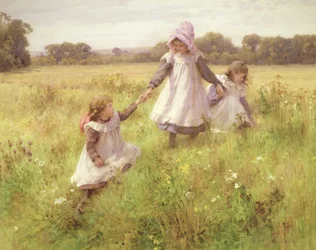 Wilde Blumen pflücken